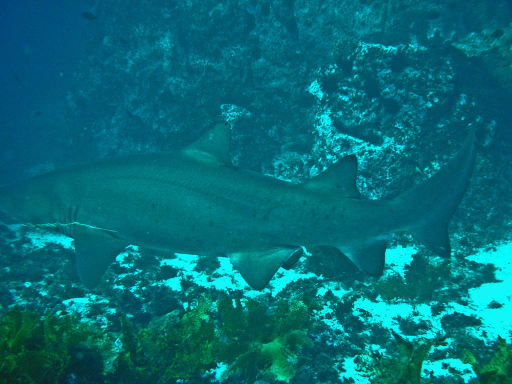 8baa997e-cc3c-41e3-aa8e-521ab32f2279