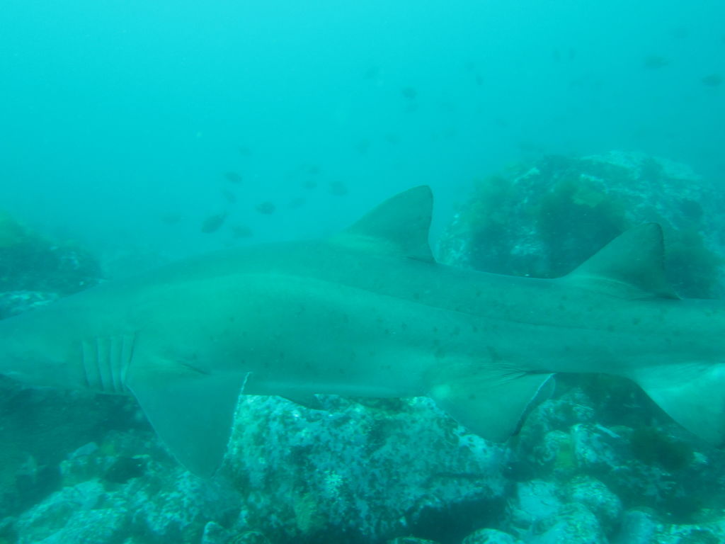 a37e9c9a-8927-43a1-8c6c-542e8bf8138f