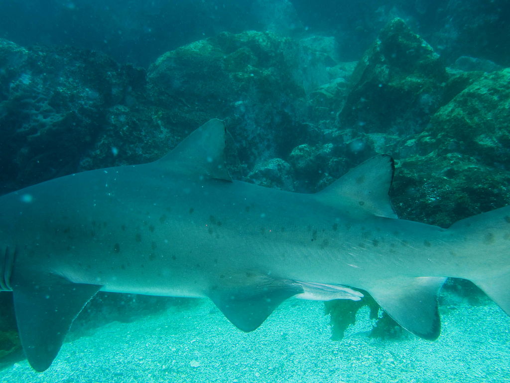 ac8f330a-3f99-43c9-894a-d4d0f672de4f