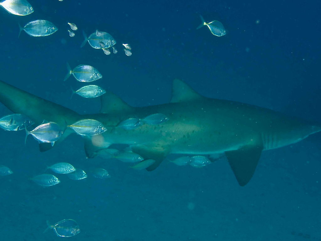 45dd9172-ebbc-454e-ae4c-6d7e99c53d25