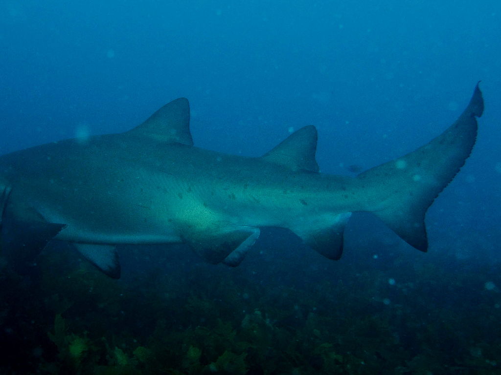 a1af5791-4cca-47fa-bd9d-11aac6cdcf29