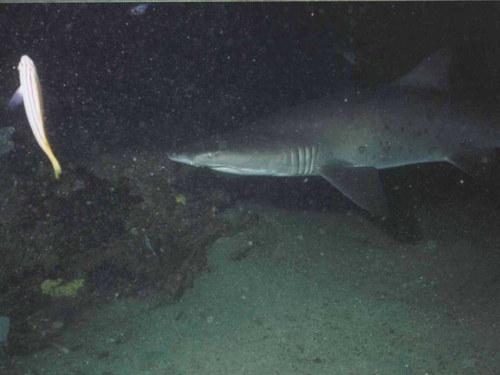 84c353ab-483f-4a1d-9abb-db19f2798d64