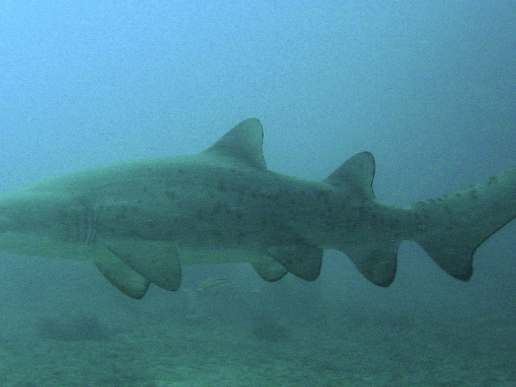 f0226316-54ee-4087-a897-9097224e54ec