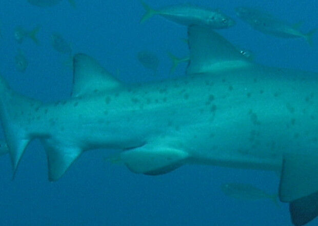 24fbf5b5-8dd7-4c2d-b708-b6a5ee829582