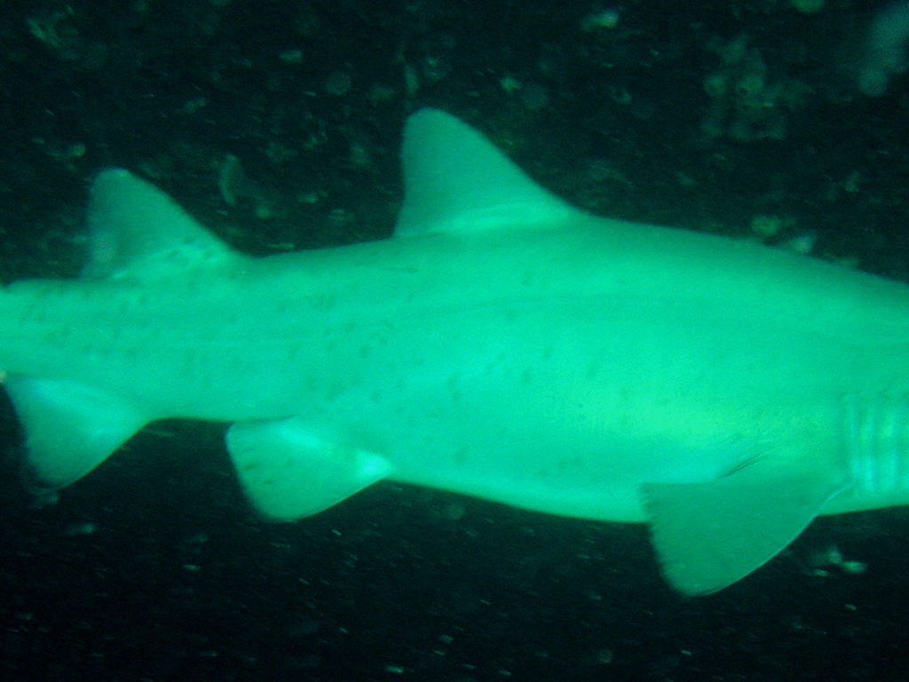 7ed53cda-97aa-4dbc-a14f-f9853659646c