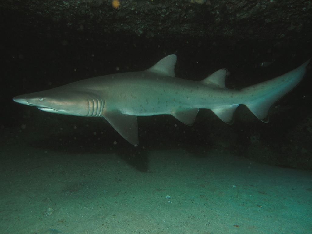 74c76d5d-0a1e-426b-be68-04e923afdf86