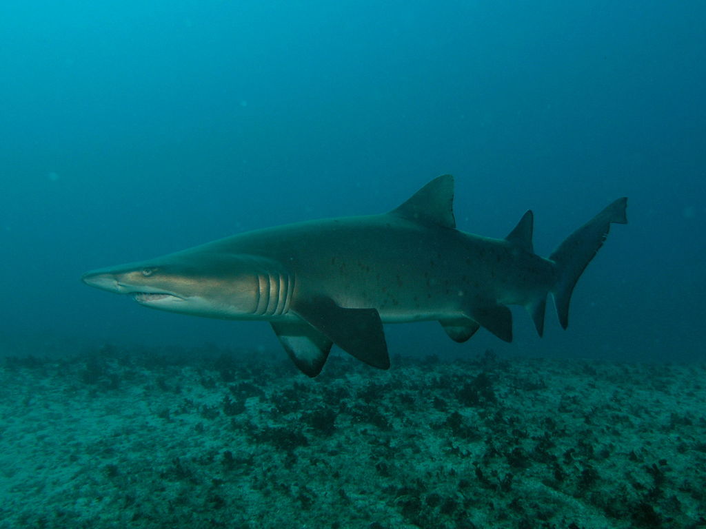 74c76d5d-0a1e-426b-be68-04e923afdf86