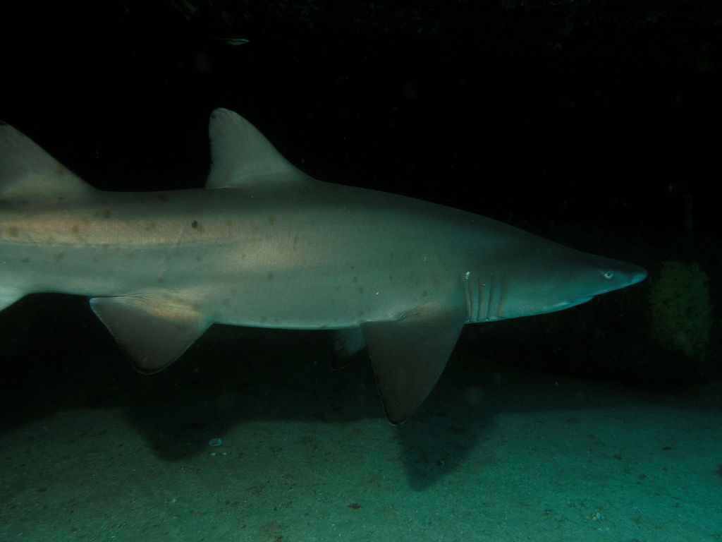 7dfbb271-8db3-417b-a0ba-8fbe5cce0dc2