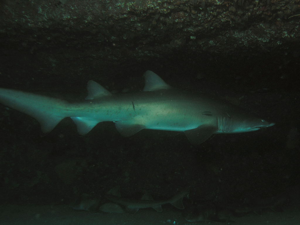 7ed53cda-97aa-4dbc-a14f-f9853659646c