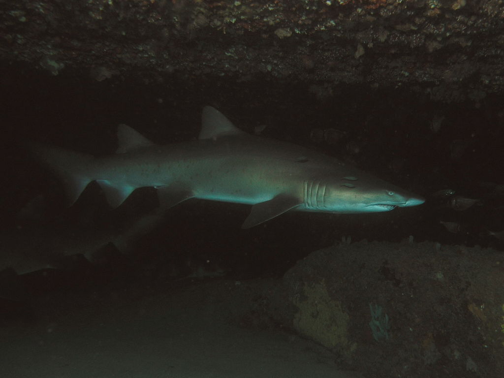 7ed53cda-97aa-4dbc-a14f-f9853659646c