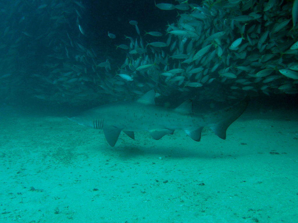 9fcd8655-e284-44d7-89b5-875296f39b3b