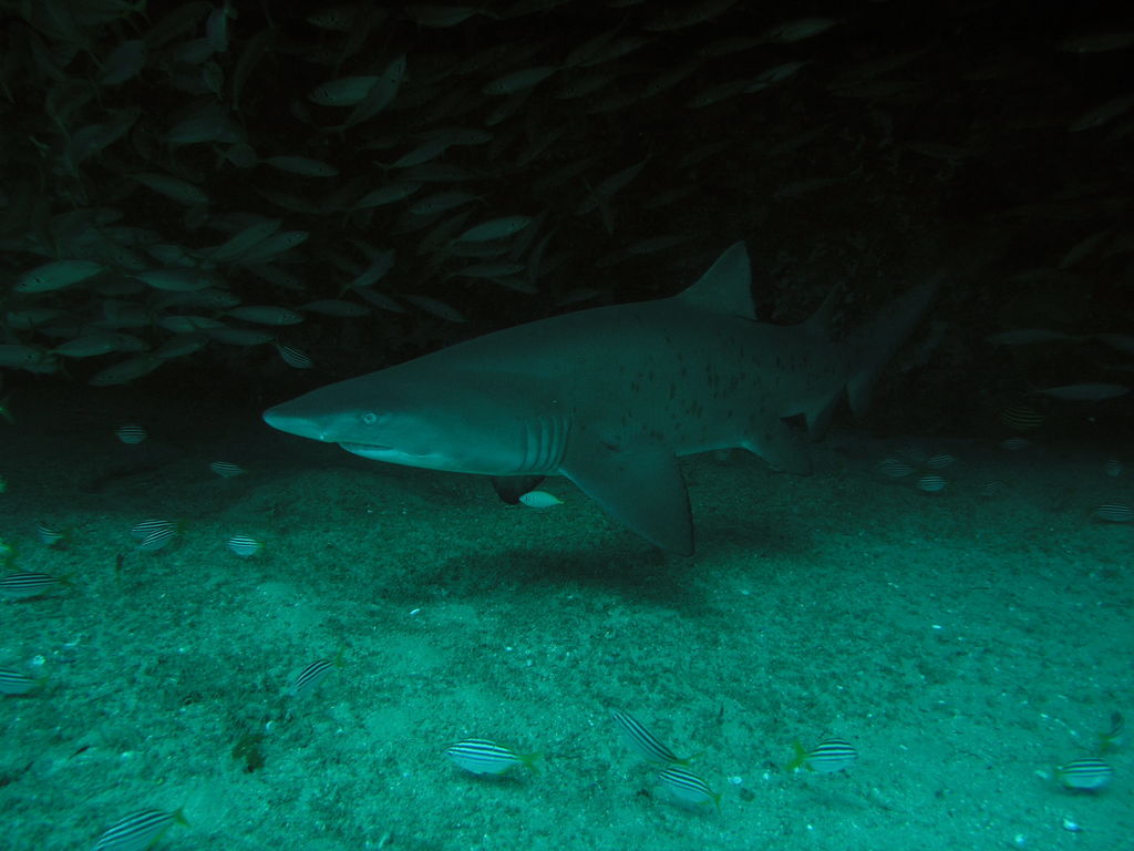 9fcd8655-e284-44d7-89b5-875296f39b3b