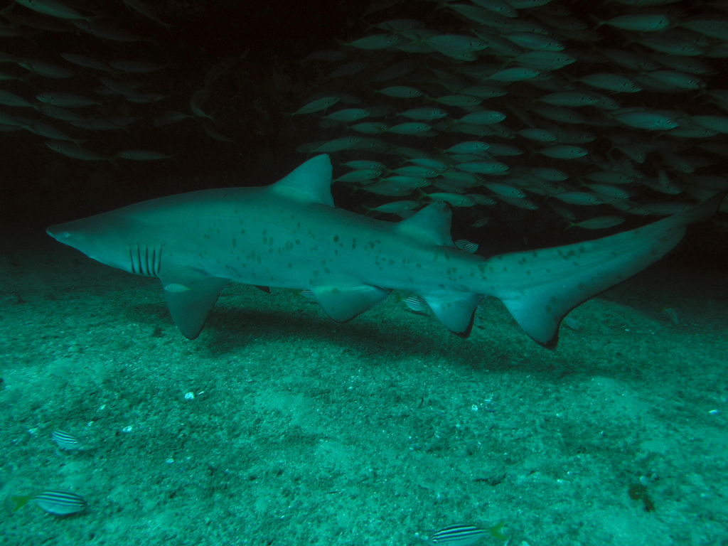 9fcd8655-e284-44d7-89b5-875296f39b3b