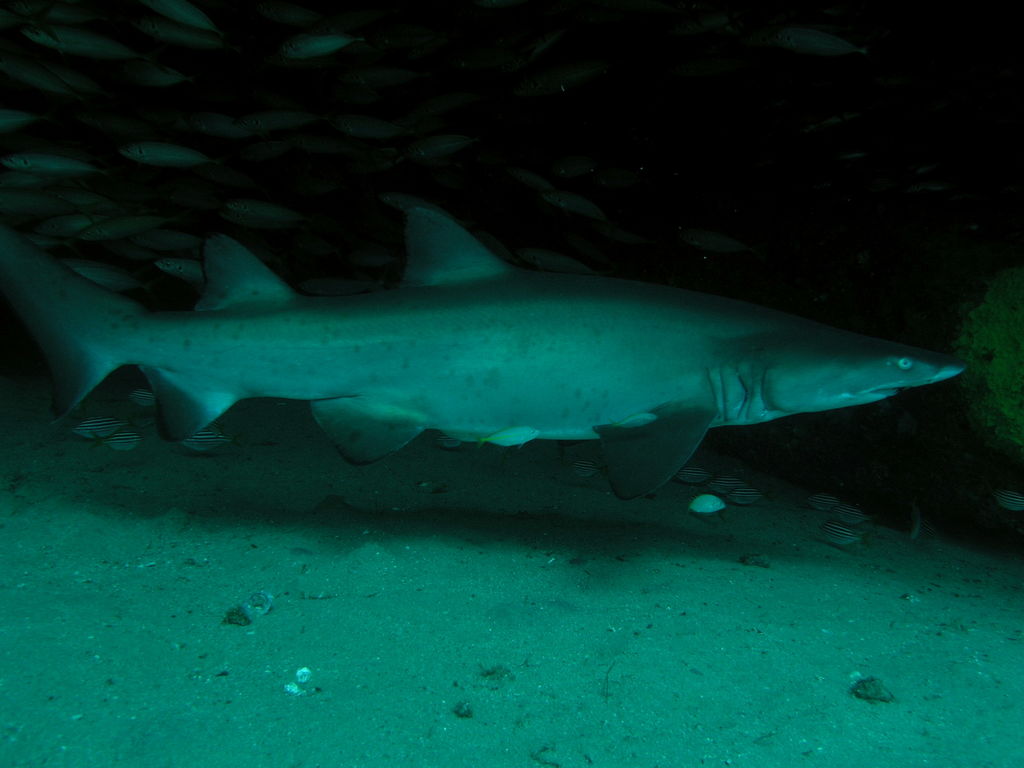 b965b5e6-d382-409e-9dc6-b0ebb62eb3c3