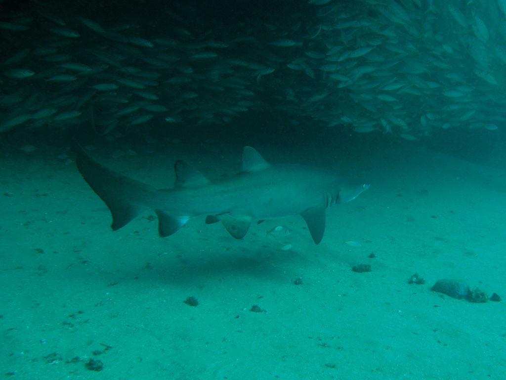 b965b5e6-d382-409e-9dc6-b0ebb62eb3c3