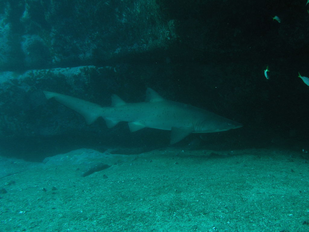 b99a3dd5-f063-406f-b040-22be956a1e78