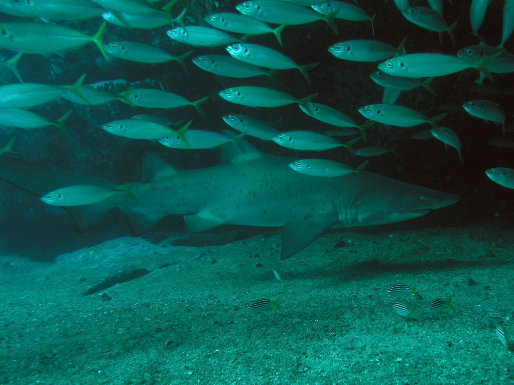 b99a3dd5-f063-406f-b040-22be956a1e78