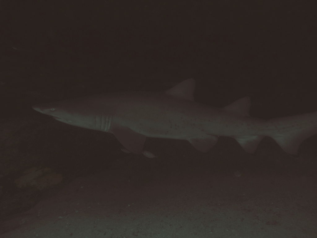 e142d6ab-b093-4619-86b7-81a7d0ae711d