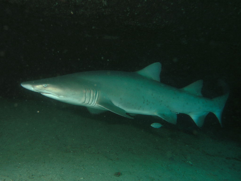 e142d6ab-b093-4619-86b7-81a7d0ae711d