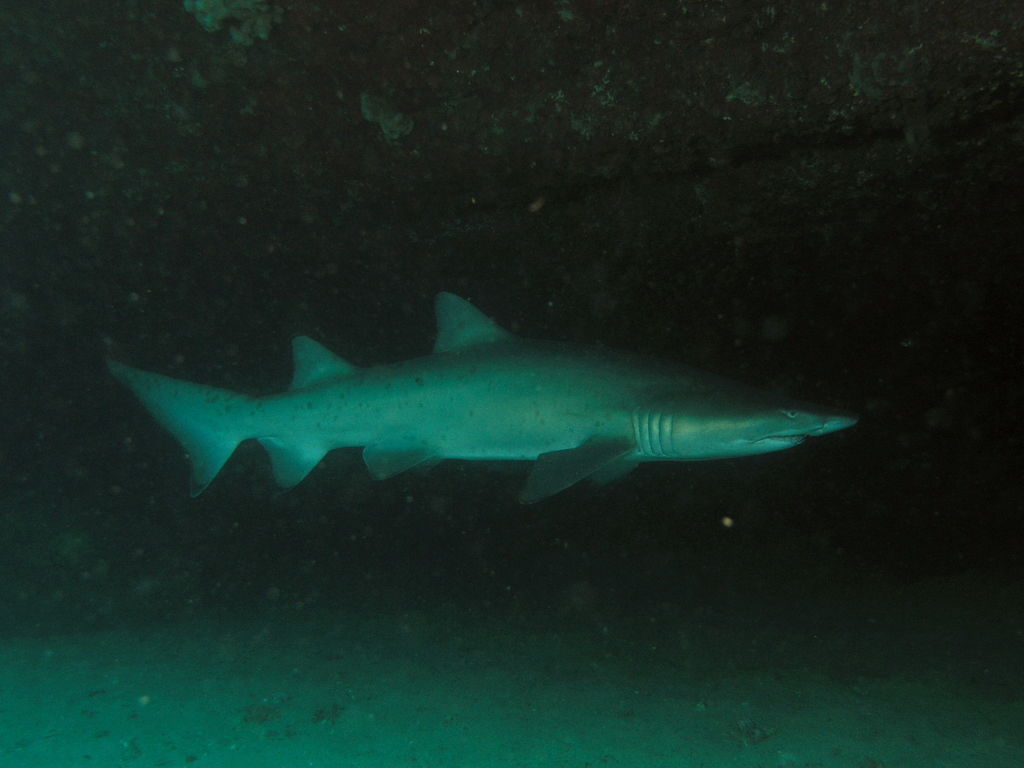 7dfbb271-8db3-417b-a0ba-8fbe5cce0dc2