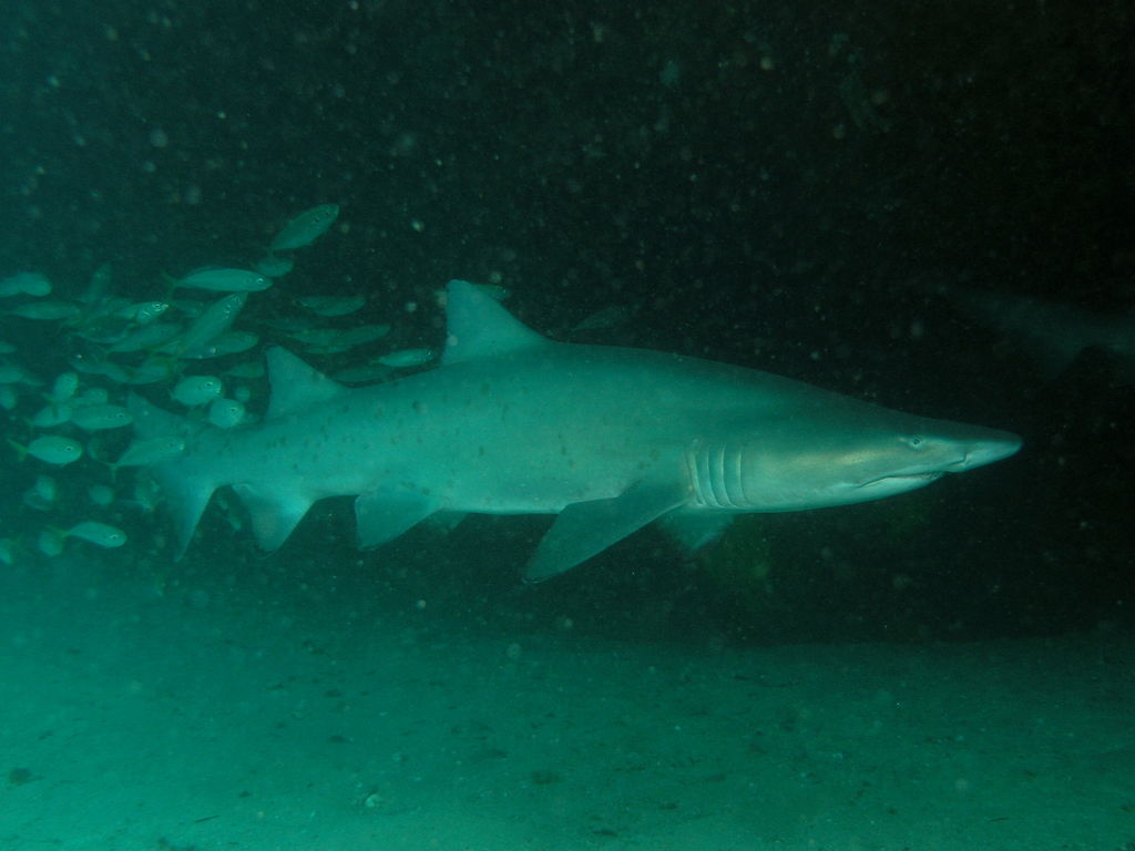 7dfbb271-8db3-417b-a0ba-8fbe5cce0dc2