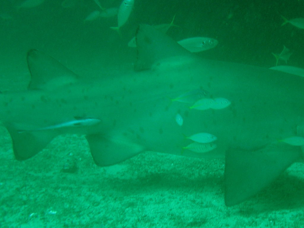 b99a3dd5-f063-406f-b040-22be956a1e78