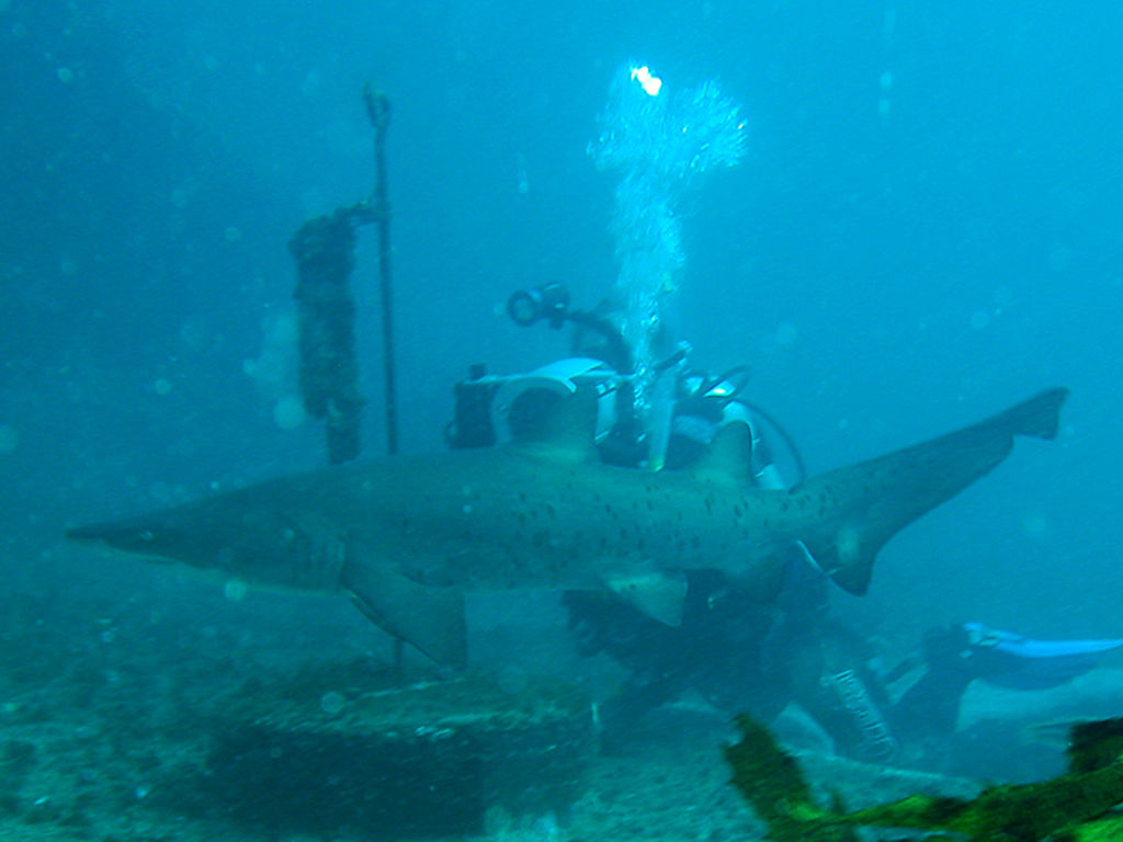 36f00124-017d-4871-8005-7984cc83a822