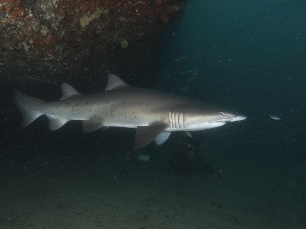 3874b39a-fd77-4957-b0bb-cf9bc68ba8ad