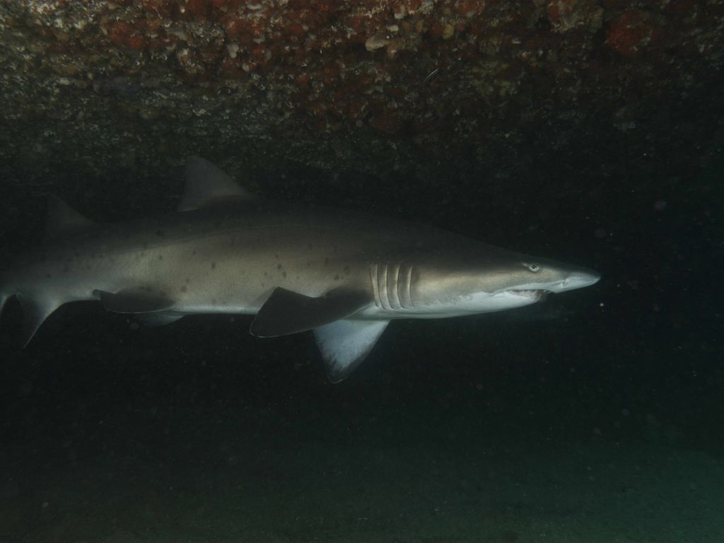 7dfbb271-8db3-417b-a0ba-8fbe5cce0dc2