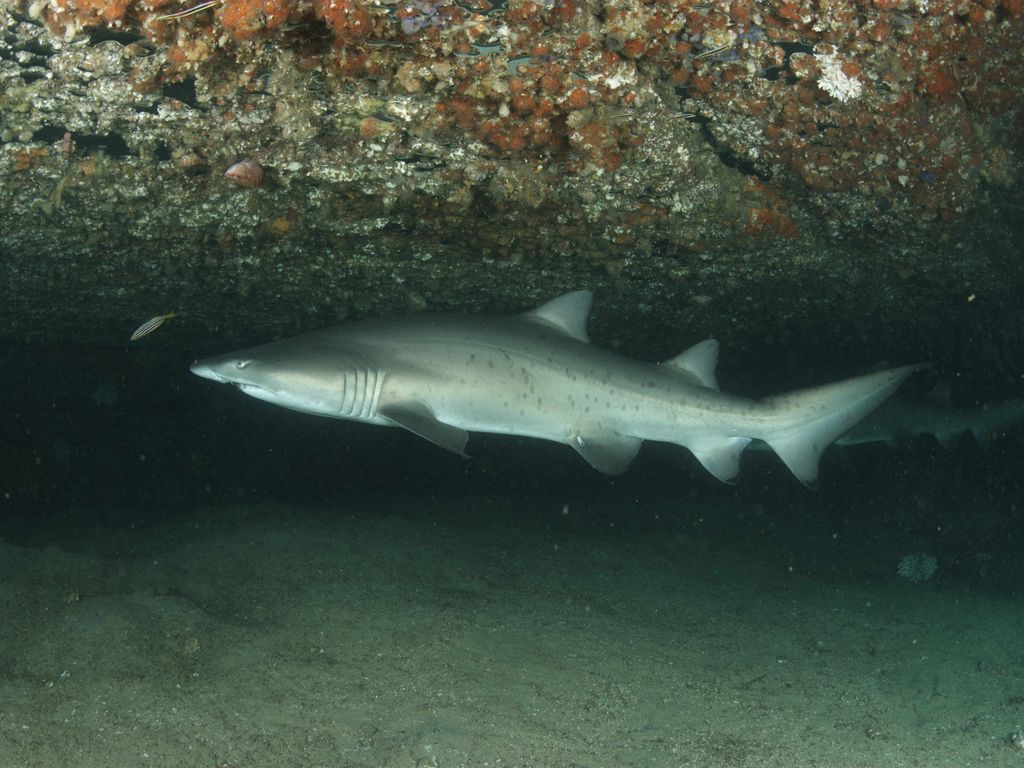 e6a38a03-819c-4954-9756-4b1c9ac42676