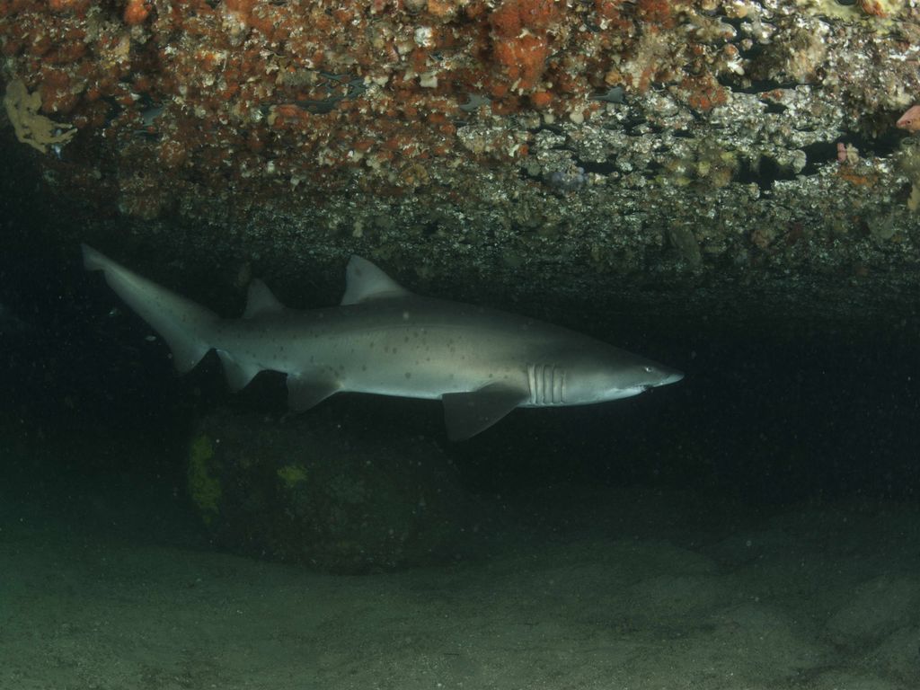 b99a3dd5-f063-406f-b040-22be956a1e78