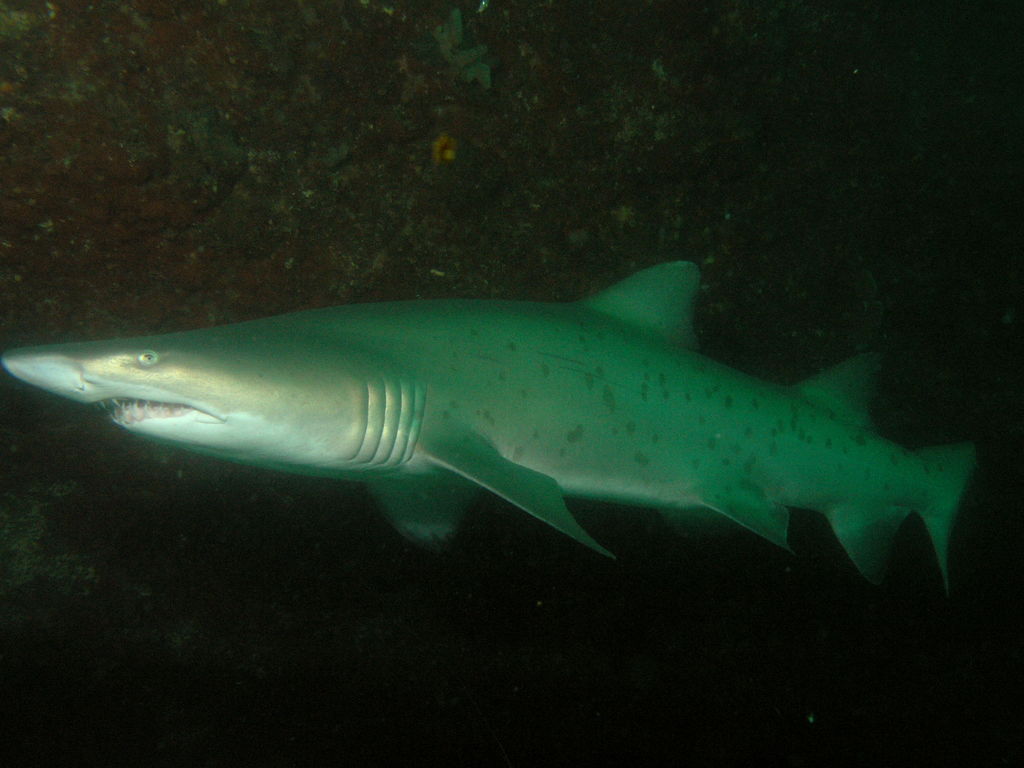 d8e6cce7-85e9-4021-9109-03ef52e4575c