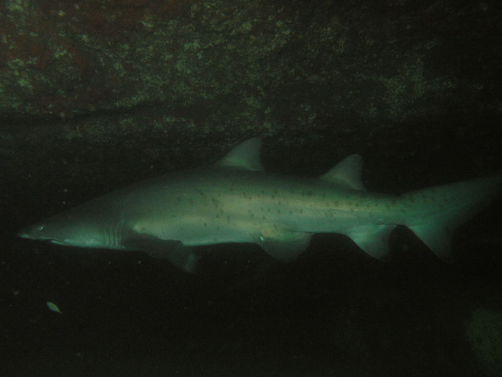 e6a38a03-819c-4954-9756-4b1c9ac42676