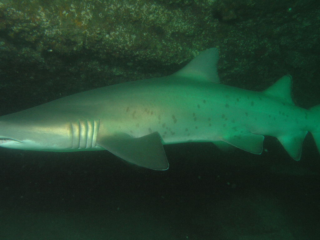 74c76d5d-0a1e-426b-be68-04e923afdf86