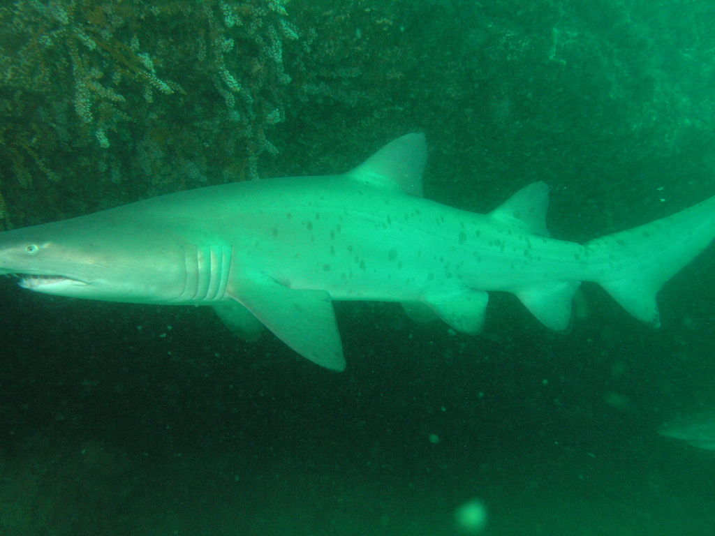 8b032309-2140-4339-b047-931678aefe75