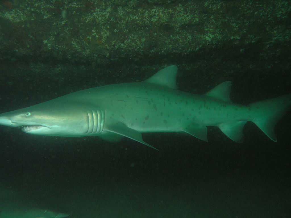 d8e6cce7-85e9-4021-9109-03ef52e4575c