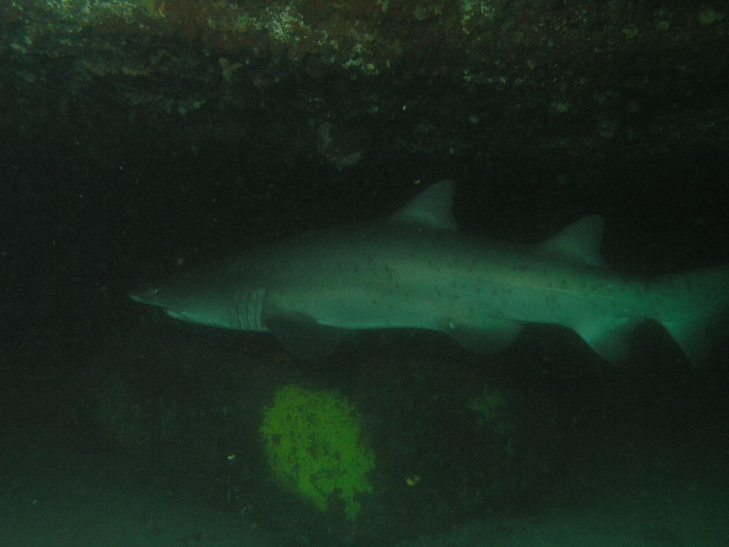 e6a38a03-819c-4954-9756-4b1c9ac42676