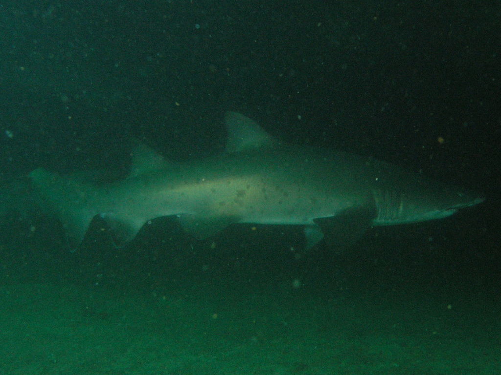 2069e828-fddc-4170-9c67-25ce00a64f09