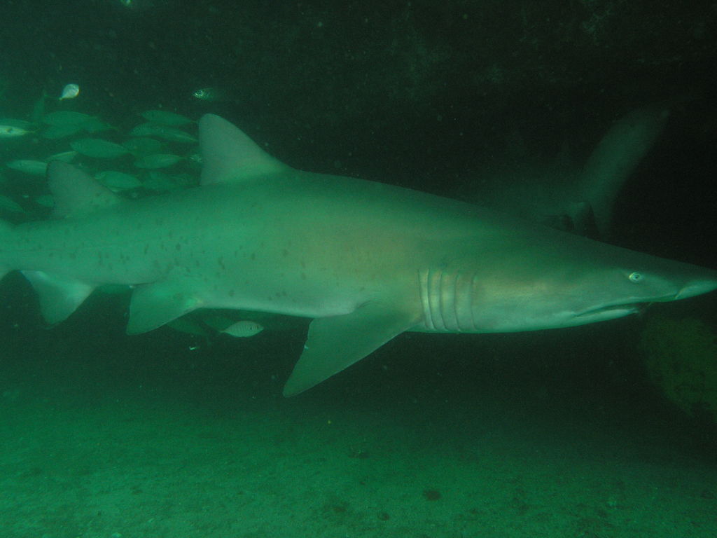 54d1ea8d-b47d-48c8-87f0-7cf3f53c3aba