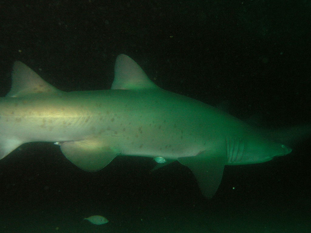 7ed53cda-97aa-4dbc-a14f-f9853659646c