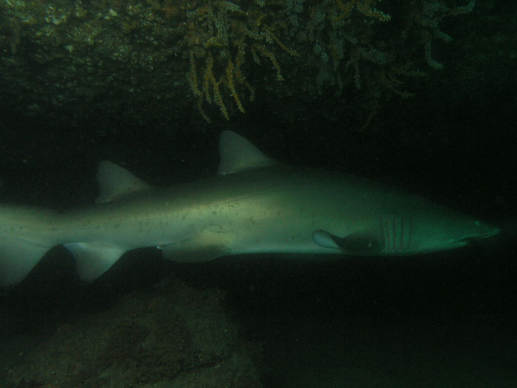 7ed53cda-97aa-4dbc-a14f-f9853659646c