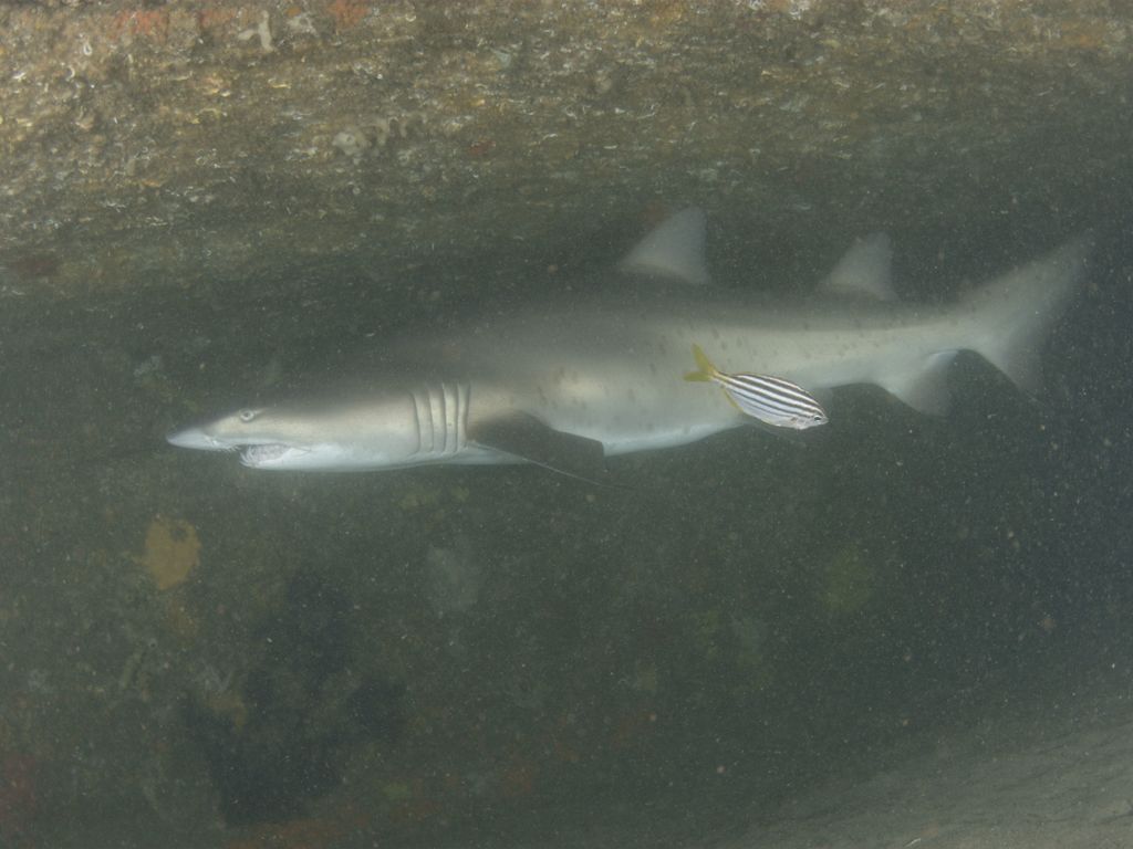 f9a1d627-974e-4c05-9bae-a5df1419723d