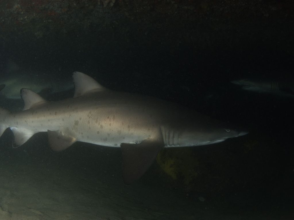 2069e828-fddc-4170-9c67-25ce00a64f09