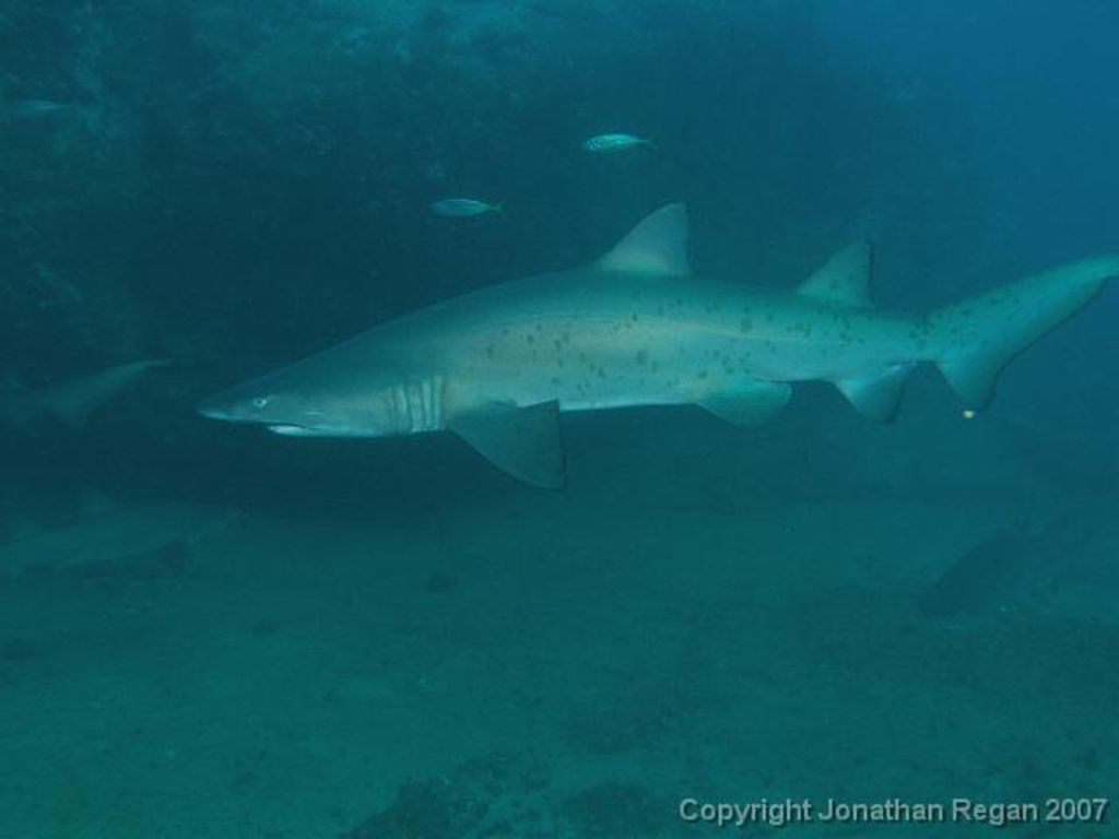 8b032309-2140-4339-b047-931678aefe75