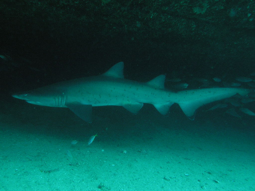 74c76d5d-0a1e-426b-be68-04e923afdf86