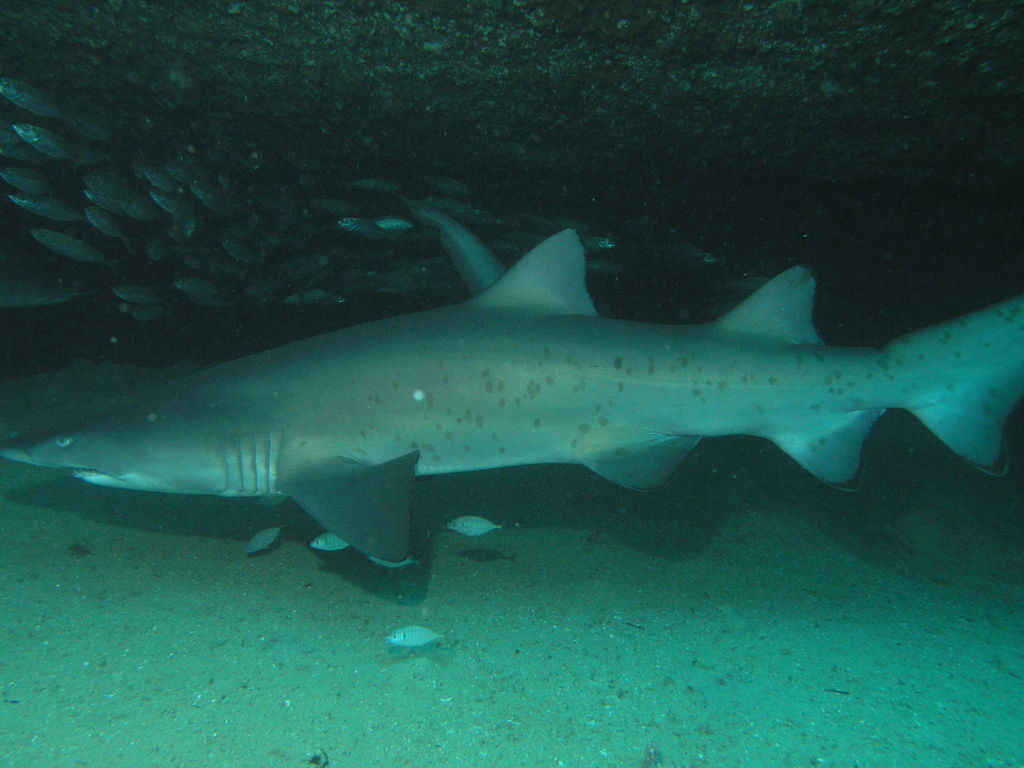 9fcd8655-e284-44d7-89b5-875296f39b3b