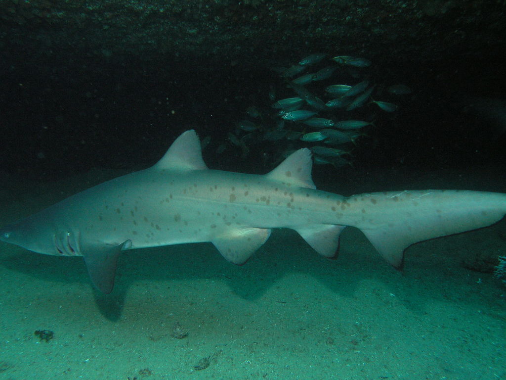 8b032309-2140-4339-b047-931678aefe75