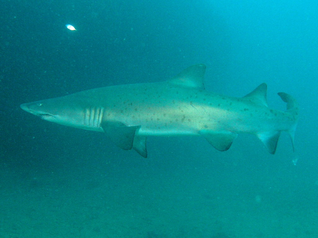 dc83292d-3fda-4aff-905b-1fd35349cc17