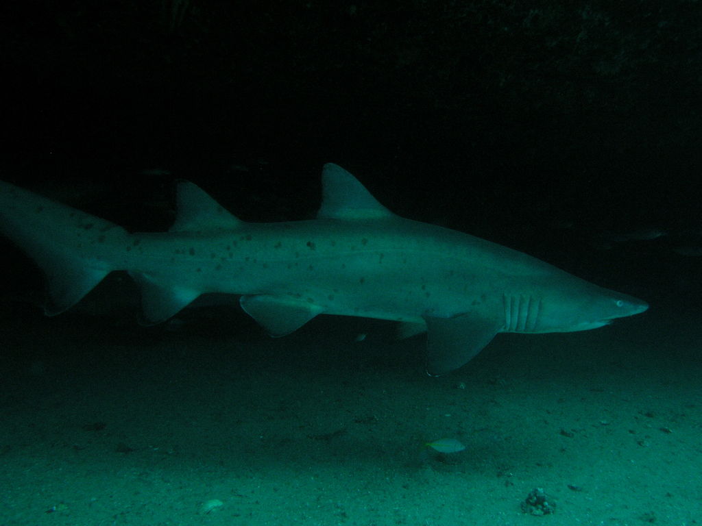 7dfbb271-8db3-417b-a0ba-8fbe5cce0dc2