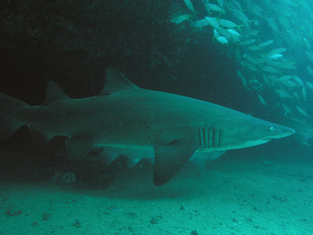 e128fd01-f175-4921-a1ca-b0e62cbd1b31